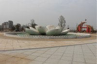 衢江区盛世莲花公生态停车场