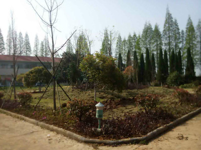 广电姜家山发射中心绿化工程